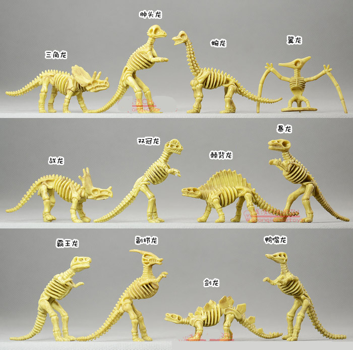 plastic dinosaur skeletons