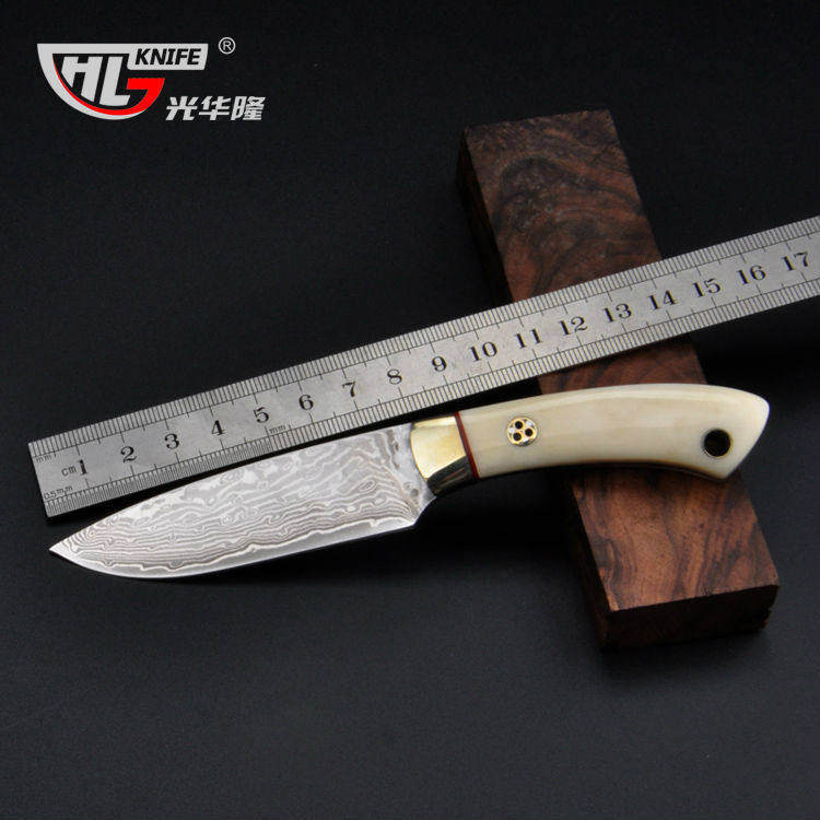 Free shipping damascus steel outdoor survival knife 58HRC camping hunting straight knife bone handle