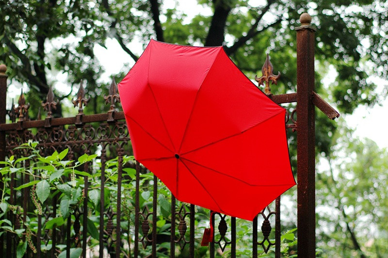 umbrella Paraguas parapluie14.jpg