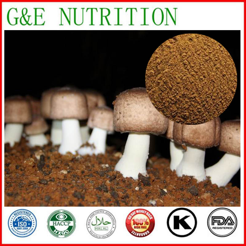 600g Factory Price Agaricus Blazei/ Agaricus subrufescens/ Agaricus blazei Murrill Extract with free shipping