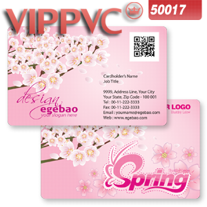 Business card template for Clear PVC Card 0.38mm /   Paper business card 300gms a5017 Double faced Printing CR80-200pcs