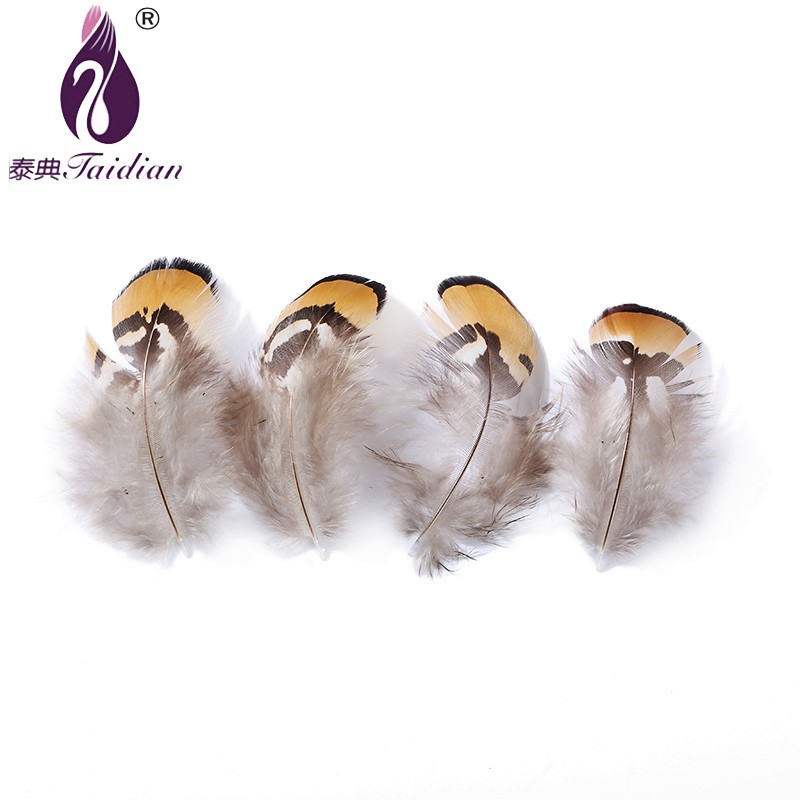 Pheasant Feathers NAtural Feathers Cheap Feathers Decorative Feathers Fluff Feathers