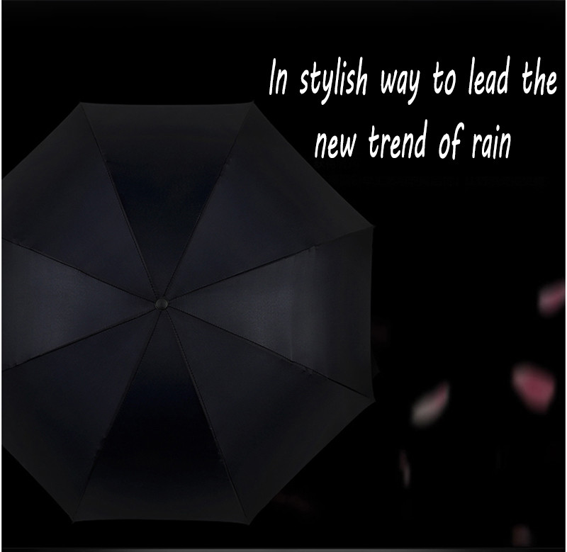 umbrella (4)
