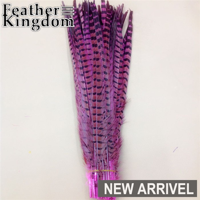 pink ringneck pheasant feathers 1
