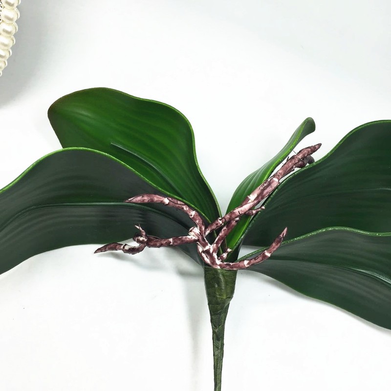 decoration flower orchid leaves (11)