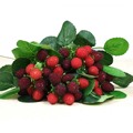 1 pcs fruit decoration flower artificial fruit paddle strawberry photo props Artificial plant