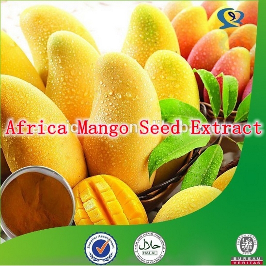 10Packs 100% Pure Nature Africa Mango Seed Extract powder 500mg x 1000Caps for weight loss