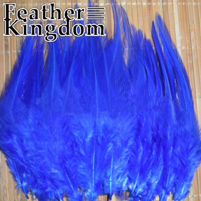 blue rooster feather -700