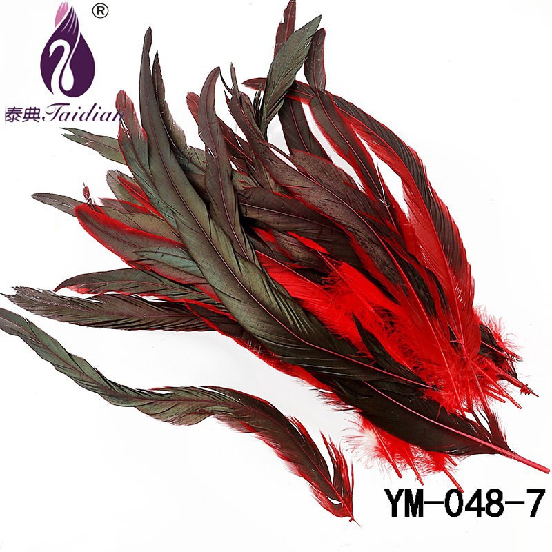 YM-048-7 red Black Color Beautiful Rooster feathers pheasant chicken plume Free shipping