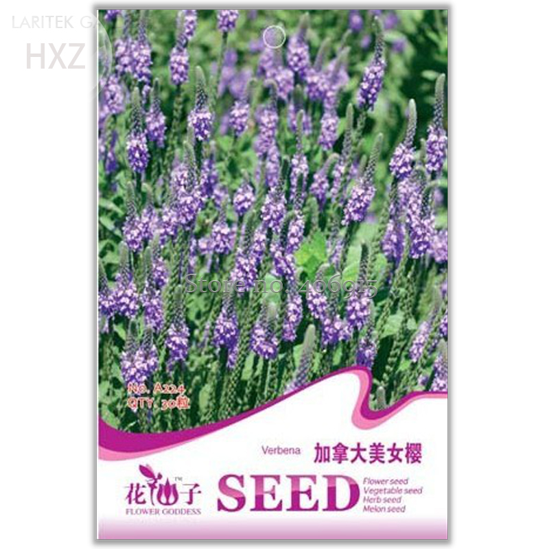 Canada Verbena Flower seeds, Original Package, 30 seeds, in the hot summer months can continue to blossom A224