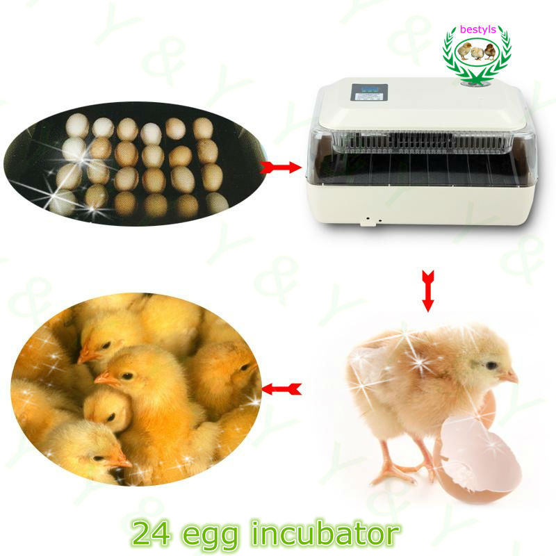  -price-JN24-small-Chicken-egg-incubator-24-eggs-China-incubator.jpg