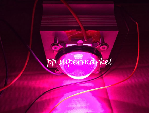 Description Picture 2 of item100W Plant Grow Full Spectrum 380-840nm High Power LED Lamp Bulb Light