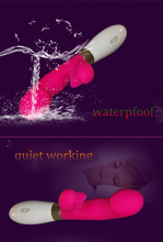 HTB1g_CPKVXXXXckXFXXq6xXFXXXj