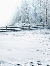 Frozen Photo Studio Floor The Fence Empty Far Forest Christmas Backgroundszz 1958