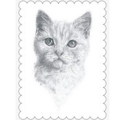 Willekeurige chat sites