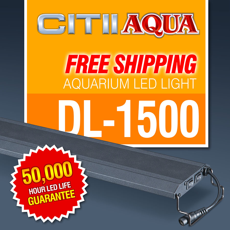 Citiiaqua     DL-1500  Shpping