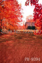 Free scenic sunshine Backdrop PH9394,10*10ft vinyl photography,photo studio wedding background backdrop,fondos fotografia