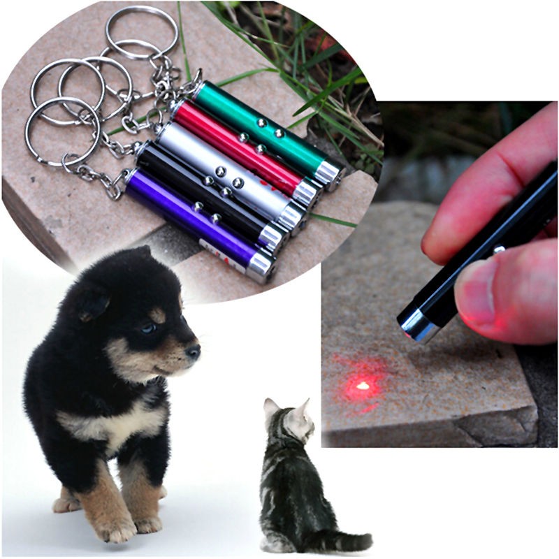 Details about   NEW 2In1Red Laser Pointer Pen W/LED Light Kid Cat Toy Money Detector Multicolor 