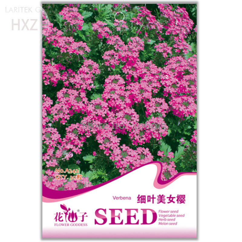 Verbena Tenera Flower Seeds, Original Package, 30 seeds, fragrant attract butterflies flower seeds light up your garden  A242