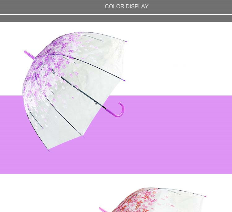 UMbrella paraguas Umbrella04.jpg