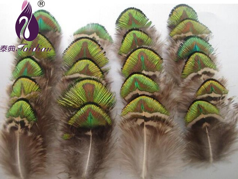 Peacock Feather decorative feathers cheap feathers feathers for sale`