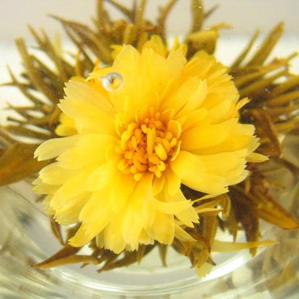 Best Chinese Handmade Blooming Flower Tea Different Flower Herbal Green Tea