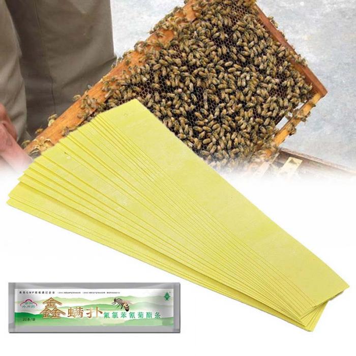 Details about   10-Strip Fishbee Organic Bee Varroa Mite Strips Treatment Control Beekeeping 
