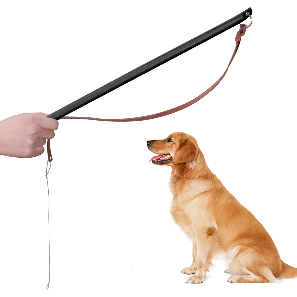 Dog Training Equipment Wholesale Dog Training Equipment Wholesale