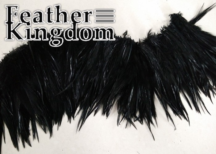 black rooster feather 2-700