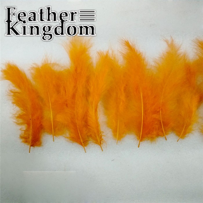 orange Turkey feathers