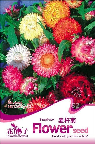 Карликовое дерево FLOWER GODDESS 3 * 50 A018 карликовое дерево flower goddess 3 nutate 50 a101