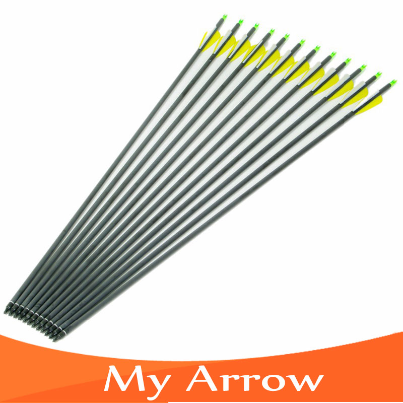 Changeable Arrowheads 12pcs 31 Spine 400 Carbon Shaft Arrow Hunting Archery With Plastic Feather For Compound