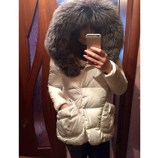 2016 Осень Зимняя Куртка Женщин Парки Пальто Мода Женский Пуховик С капюшоном Большой Искусственного Меха Воротник Пальто