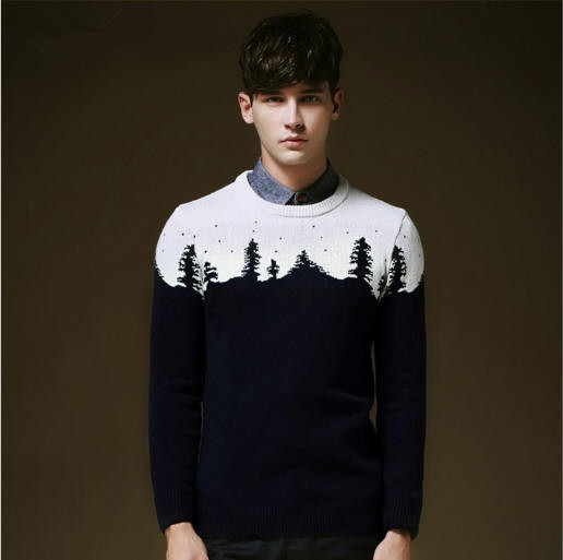 2014 autumn & winter New fashion men sweater woo...