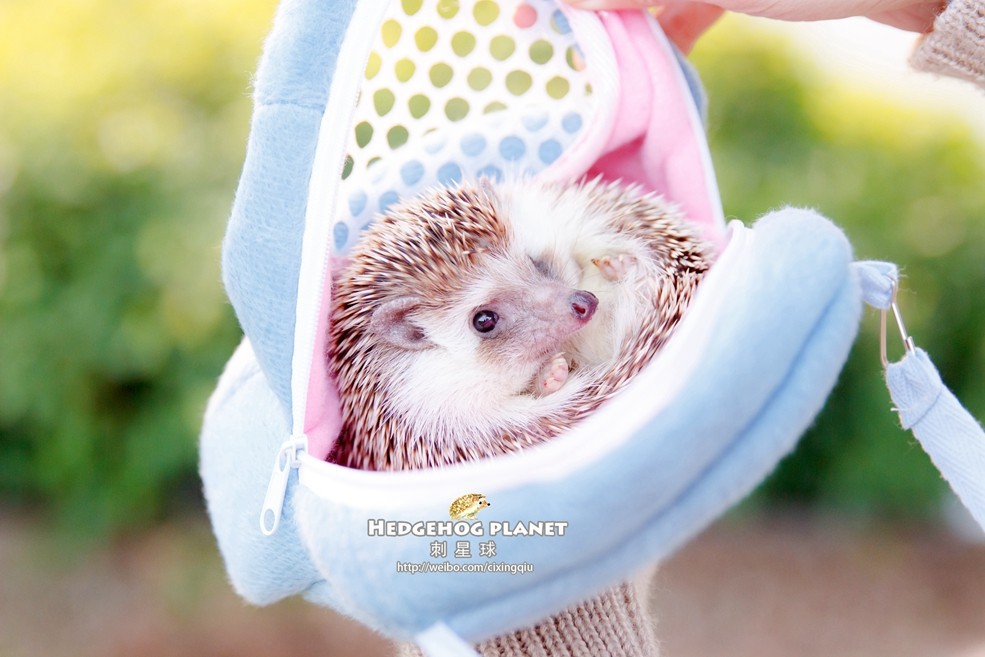 TB2qNDmbFXXXXc1XXXXXXXXXXXX-129774407