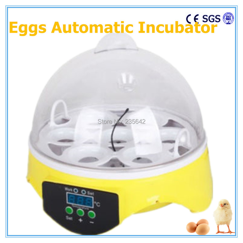  egg-incubator-holding-7-chicken-eggs-CE-approved-english-user-manual