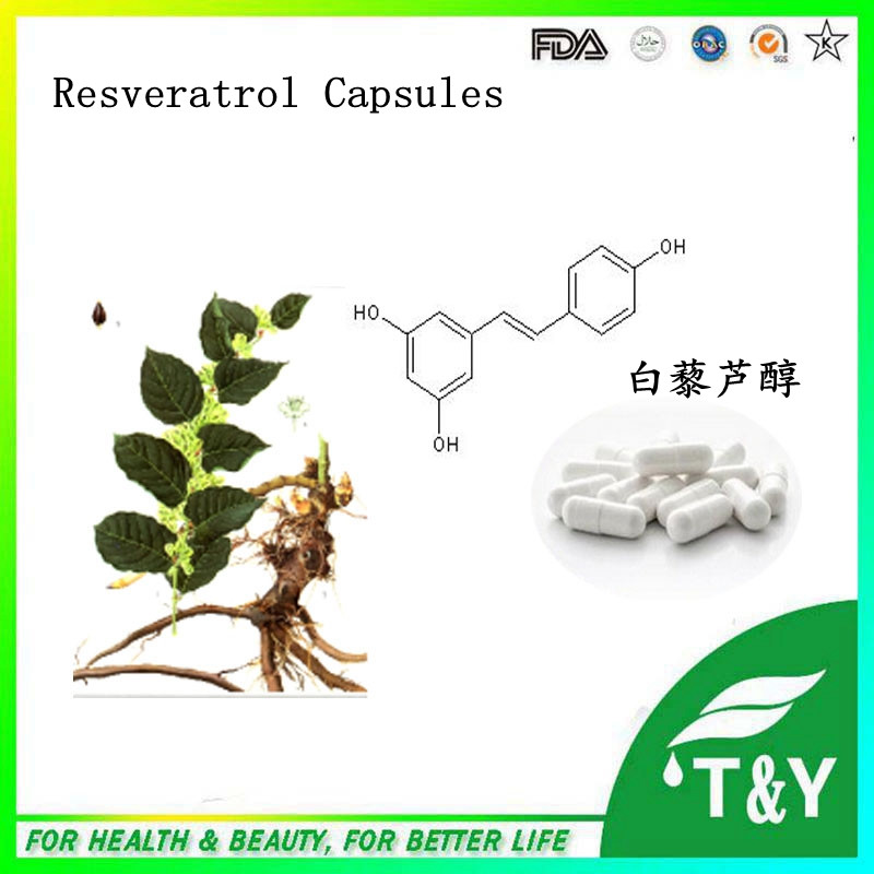 Hot sale! Polygonum cuspidatum extract resveratrol capsules 500mg*700pcs