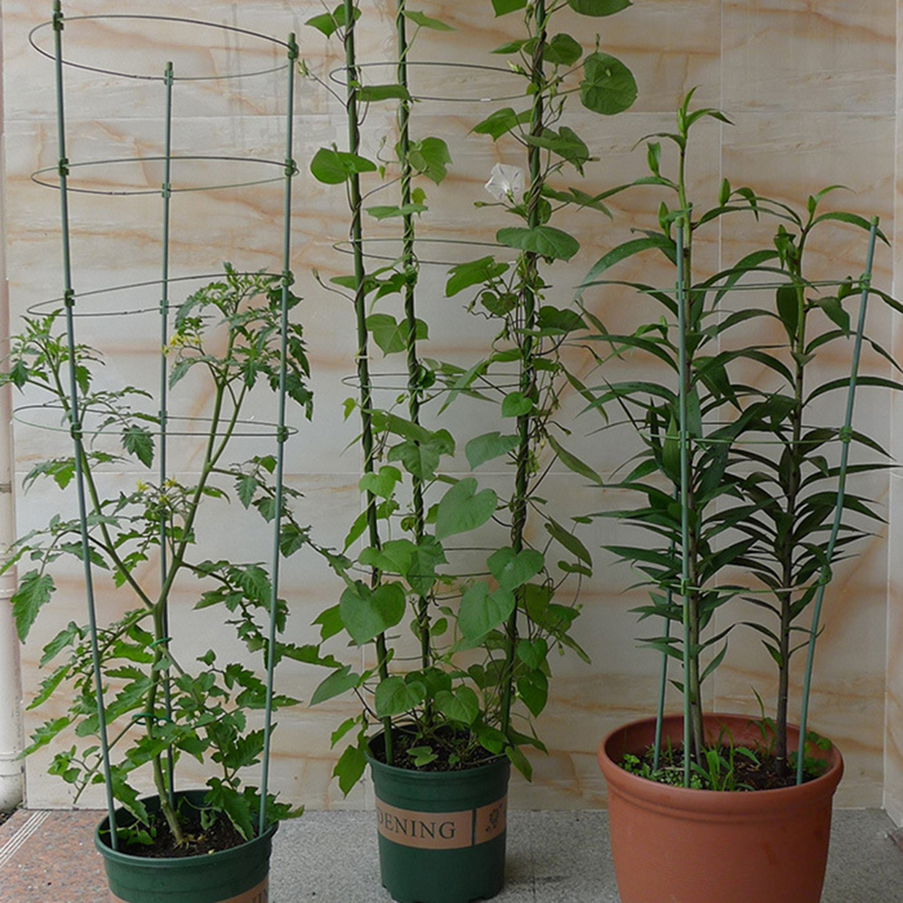 45cm Climbing Flower Plant Support Trellis Gardening Tomato Veg Cage Stand 