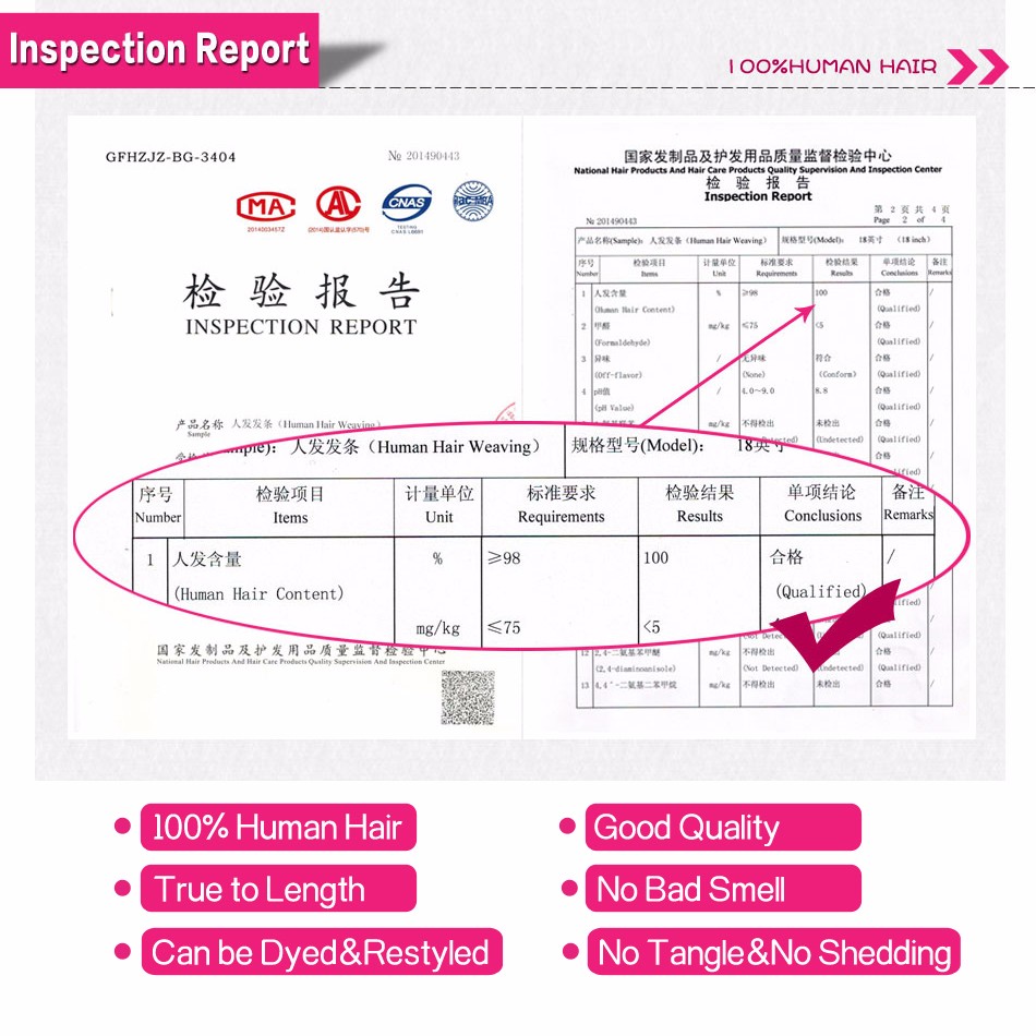 inspection report