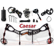 2015 NEW,Caesar, Hunting Bow arrow Set, Caesar Compound Bow hunting,bow And Archery Set,free shipping