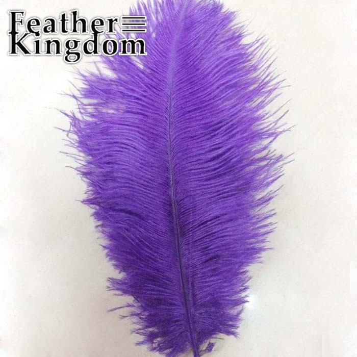 purple ostrich feather