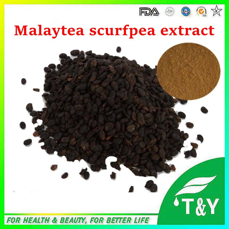 100% Pure Malaytea Scurfpea Fruit Extract/Fructus Psoraleae Extract/Psoralea