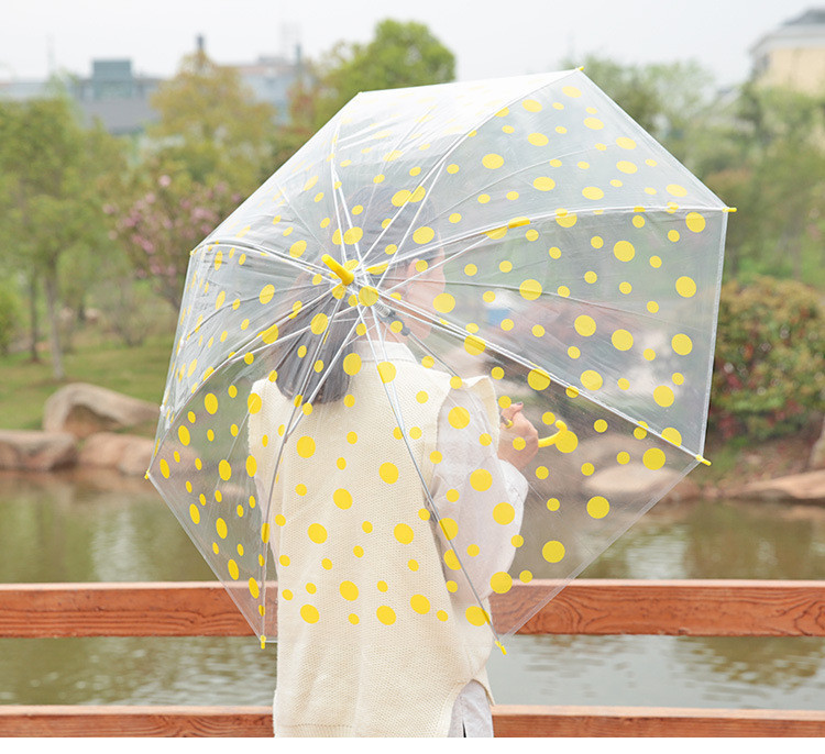 umbrella guarda chuva parapluie01.jpg