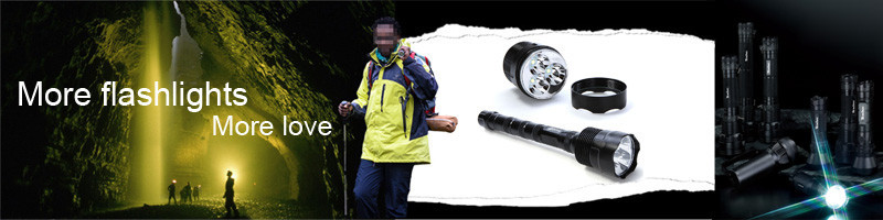 Flashlight-banner-800x800
