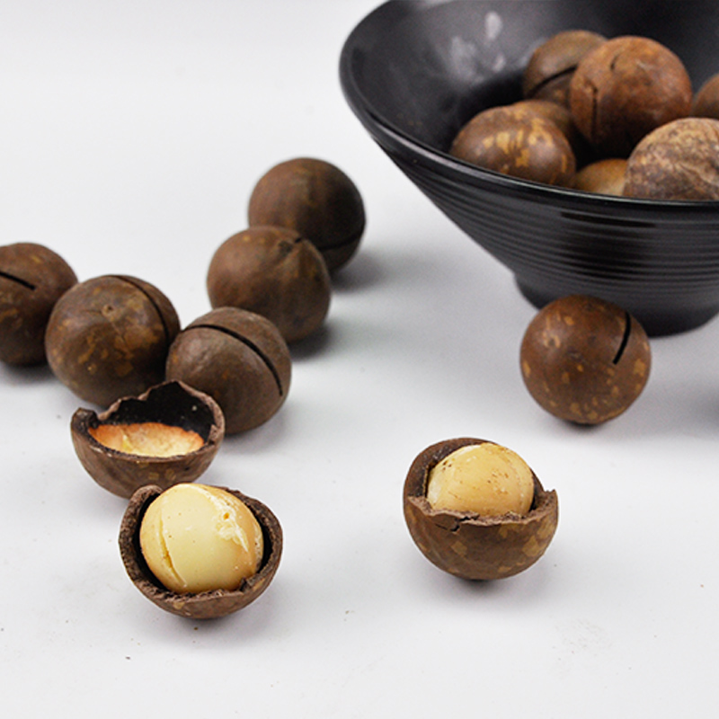 400g Best Macadamia nuts dried fruit Snack Australia specialty creamy fruit Macadamia ternifolia F Muell