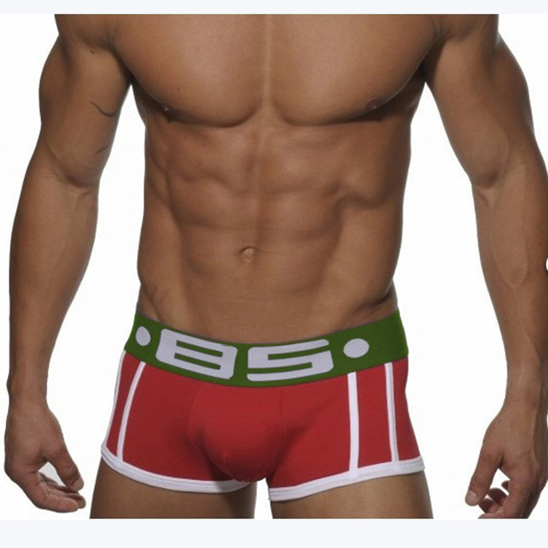 Wholesale Promotion Sexy Cotton Underpants Mesh Pouch Penis Boxer Male Transparent Men Underwear 85 boxers