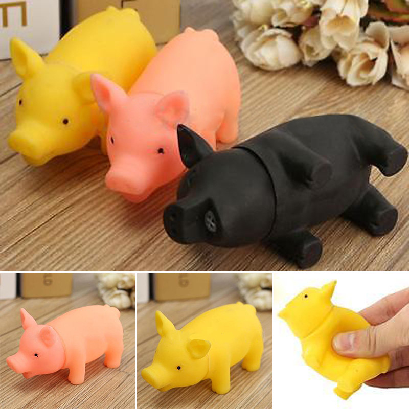 pig cat toy