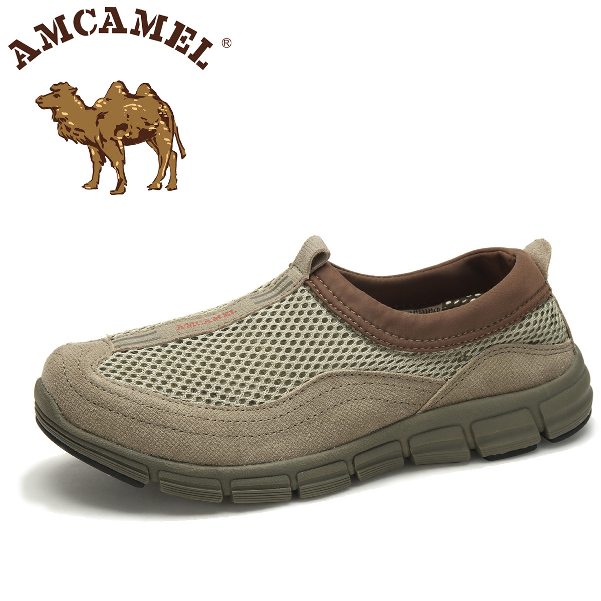 Amcamel camel        h3300026