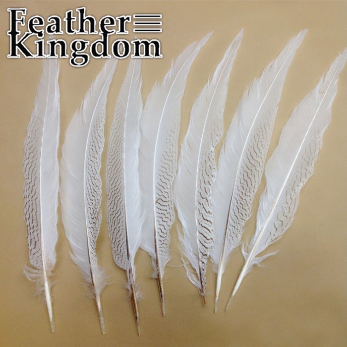 white silver feather 1-700
