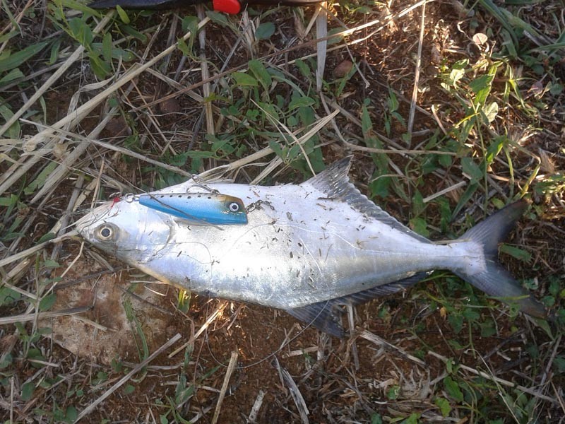 2015-09-07 18.24.19[1]